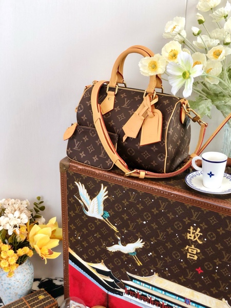 Louis Vuitton M24443 Speedy P9 Bandoulkere 25 coffee-3